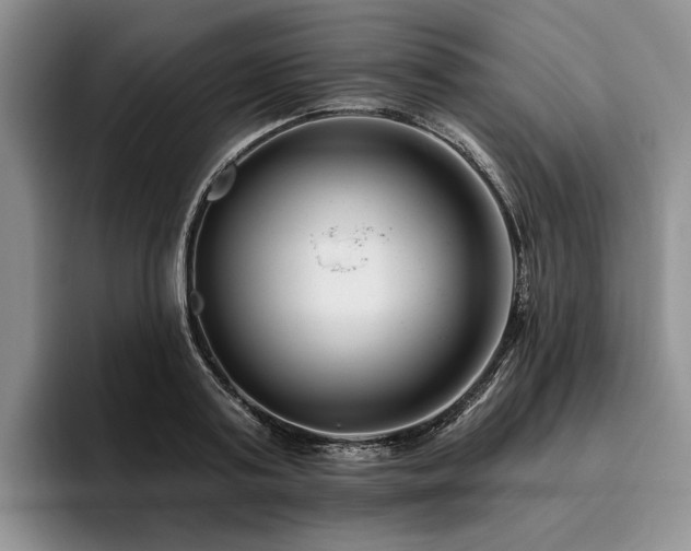 X0000096130795200801181112