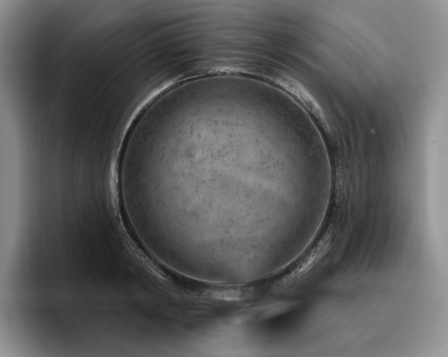 X0000096130798200801181111
