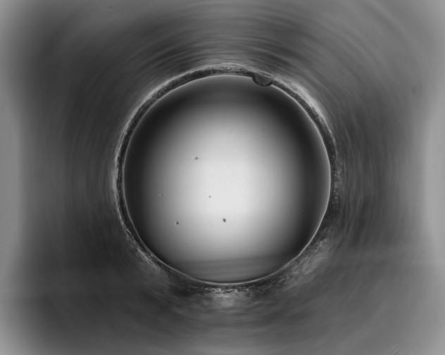 X0000096130799200801181111