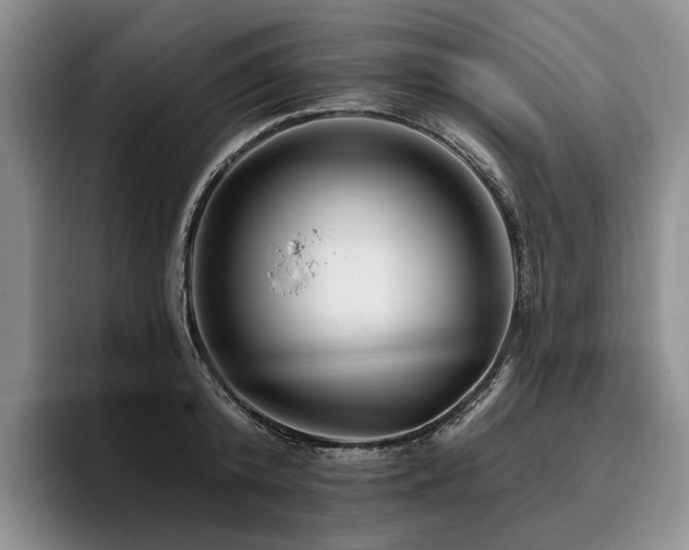 X0000096130800200801181111