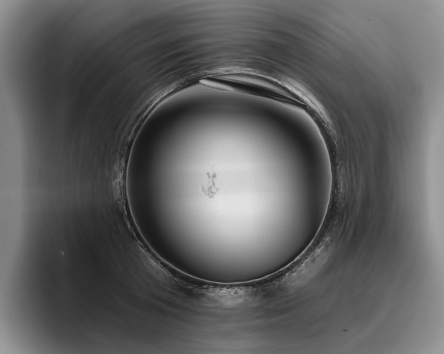 X0000096130801200801181111