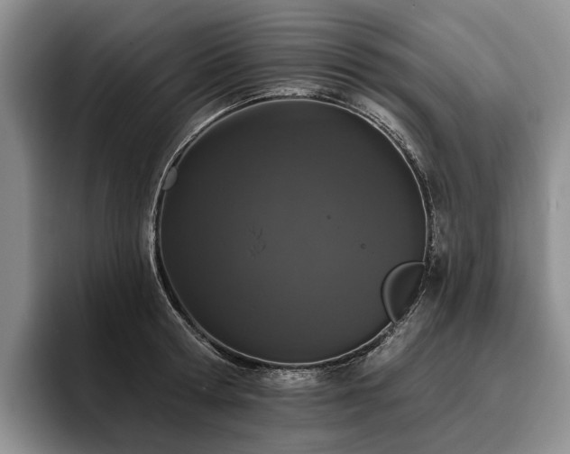 X0000096130802200801181111