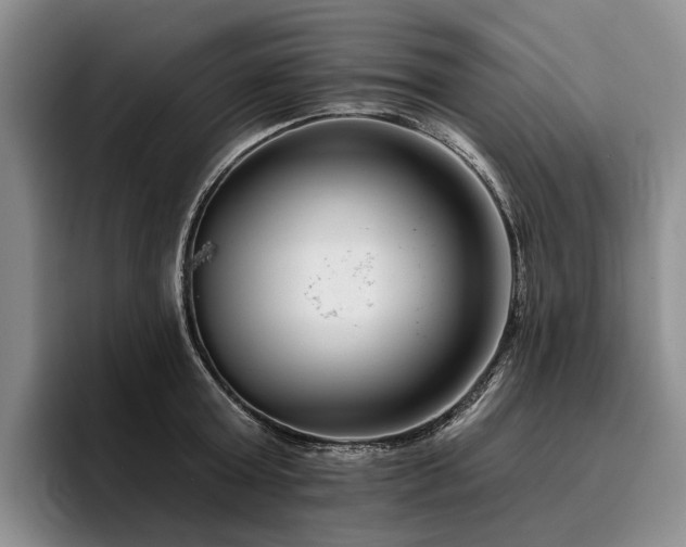 X0000096130803200801181111