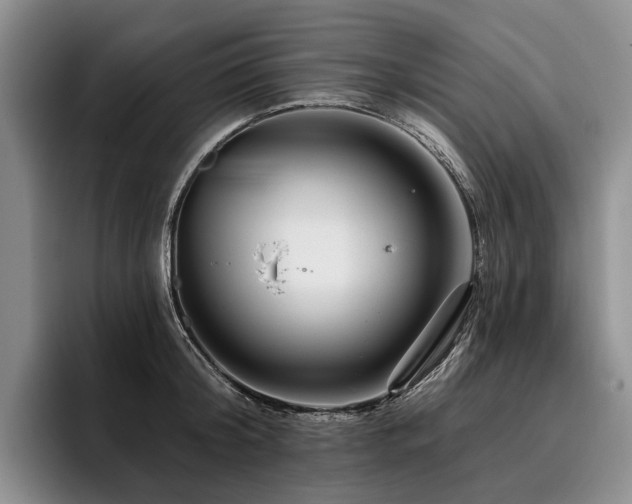 X0000096130804200801181111