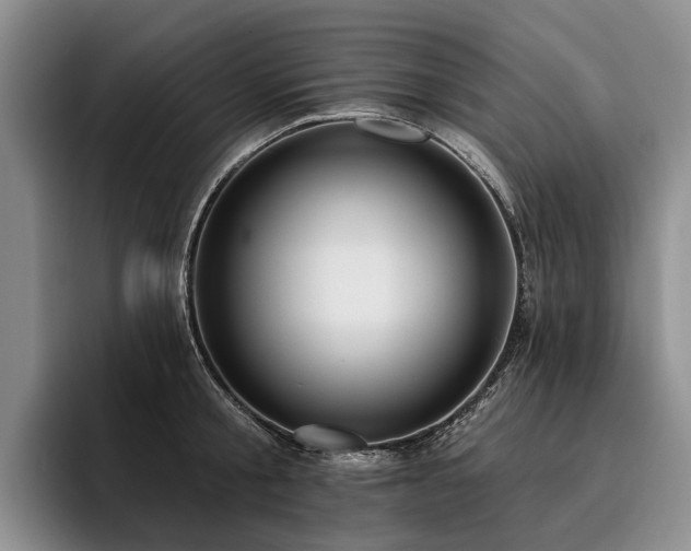 X0000096130805200801181111