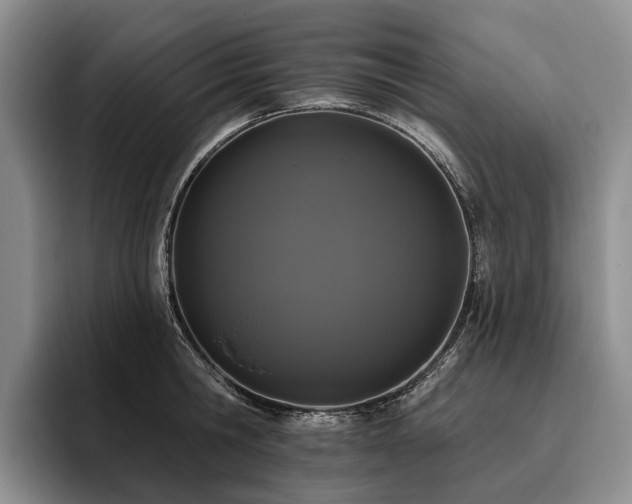 X0000096130806200801181111