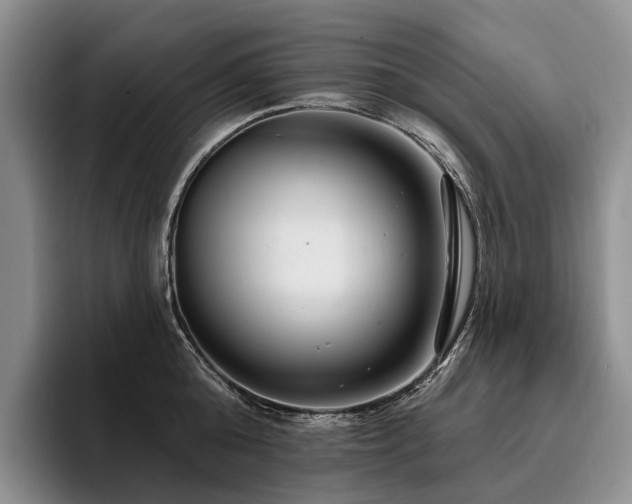 X0000096130808200801181111