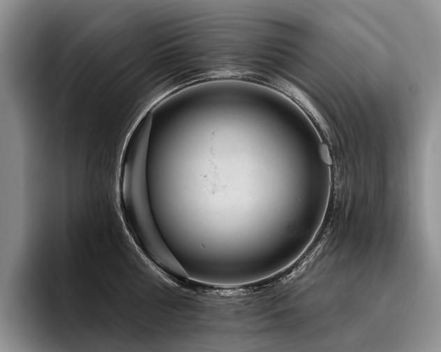 X0000096130810200801181111