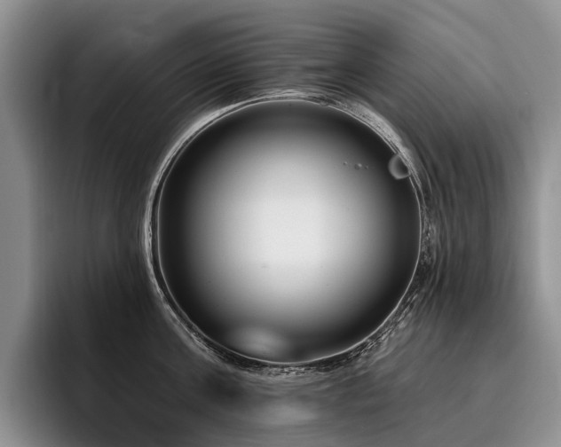 X0000096130811200801181111