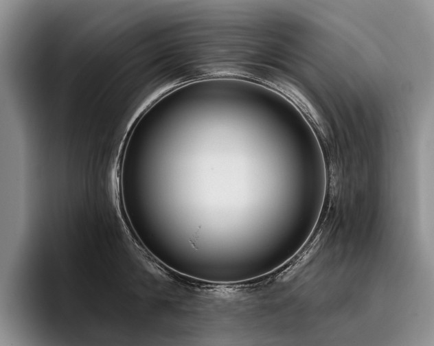 X0000096130814200801181111