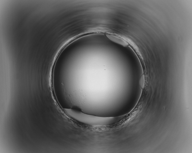 X0000096130815200801181111