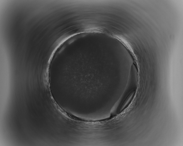 X0000096130816200801181111