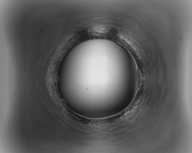 X0000096130817200801181111