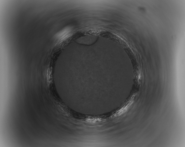 X0000096130818200801181111
