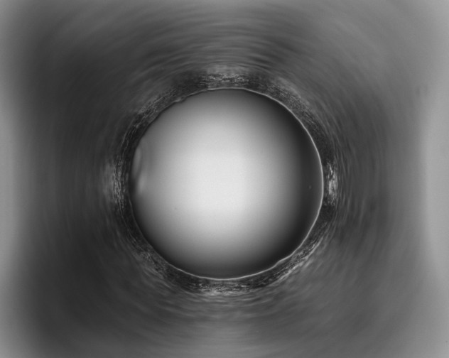 X0000096130819200801181111