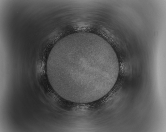X0000096130820200801181111