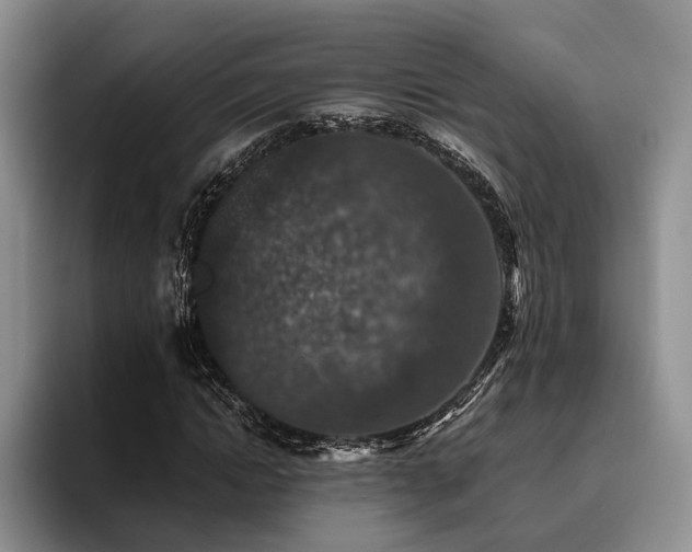 X0000096130822200801181111