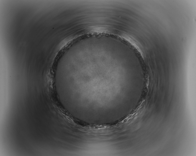 X0000096130823200801181111