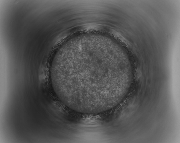X0000096130824200801181111