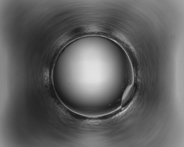 X0000096130825200801181111