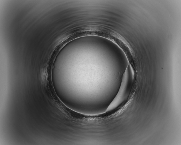X0000096130826200801181111