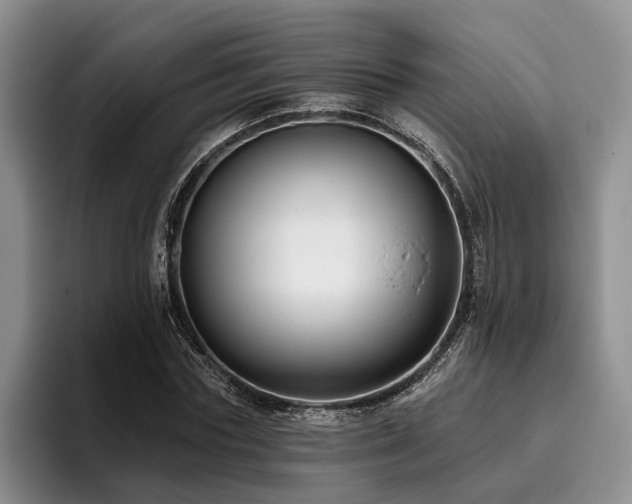 X0000096130827200801181111