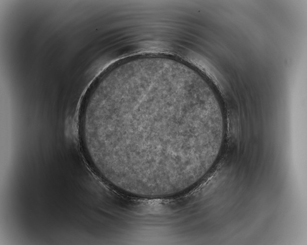 X0000096130828200801181111
