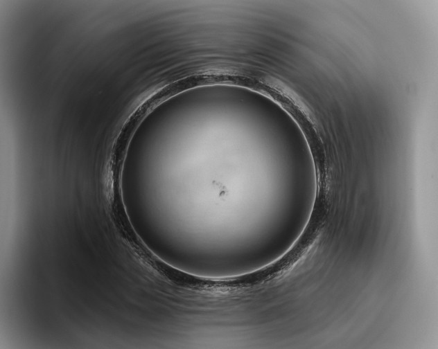 X0000096130829200801181111