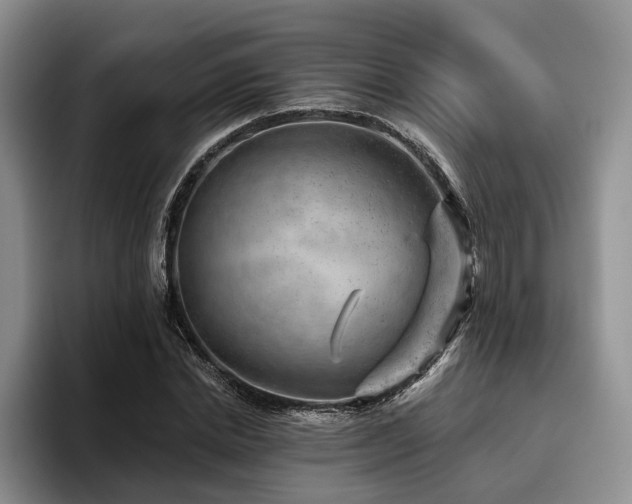 X0000096130830200801181111