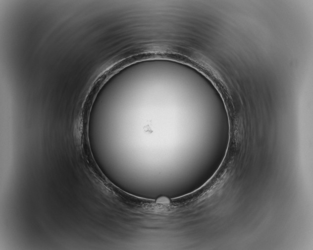 X0000096130831200801181111