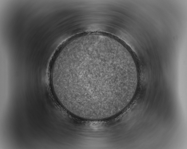 X0000096130832200801181111