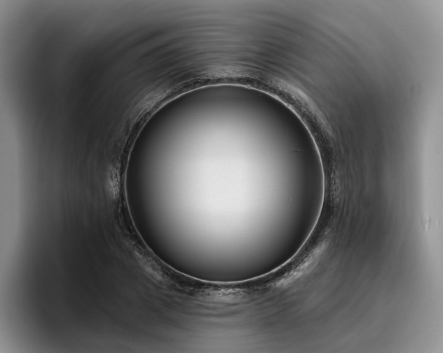 X0000096130833200801181111