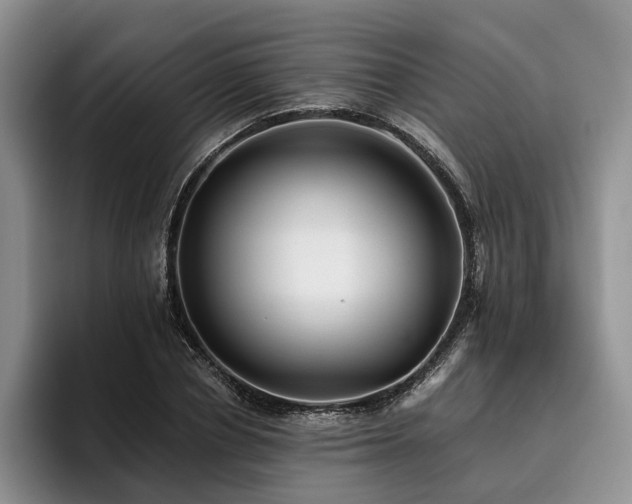 X0000096130834200801181111