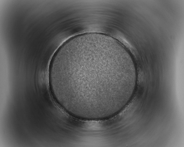 X0000096130836200801181111