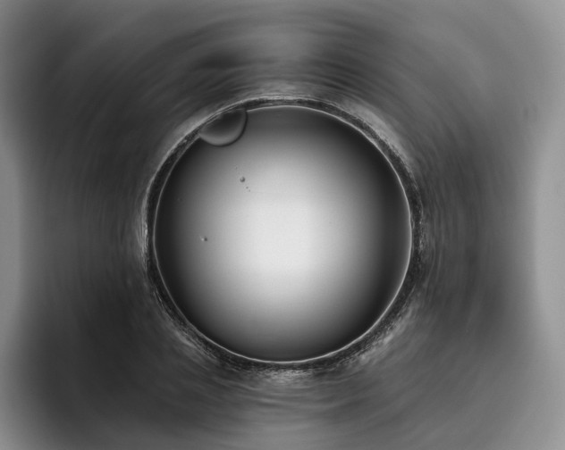 X0000096130837200801181111