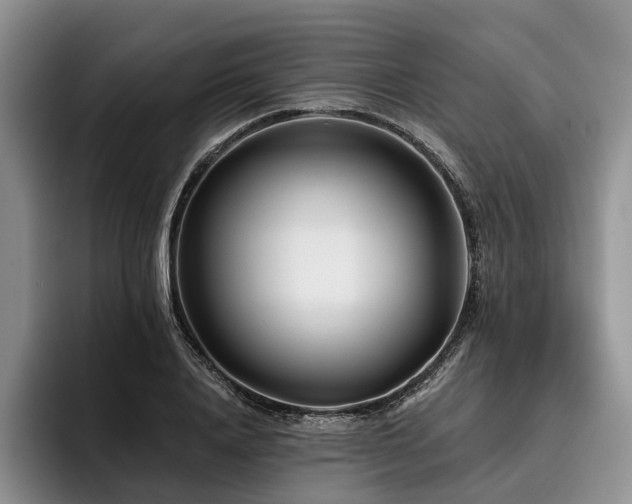 X0000096130840200801181111