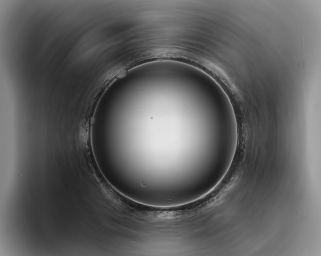 X0000096130841200801181111