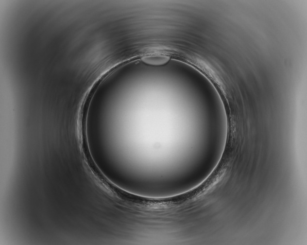 X0000096130843200801181111