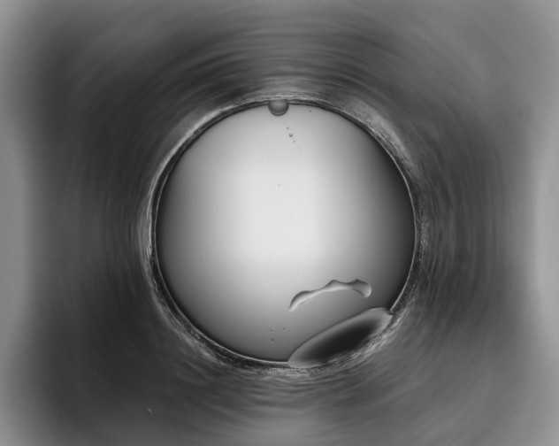 X0000096130844200801181111