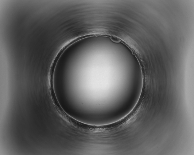 X0000096130846200801181111