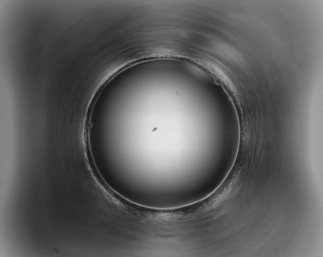 X0000096130847200801181111