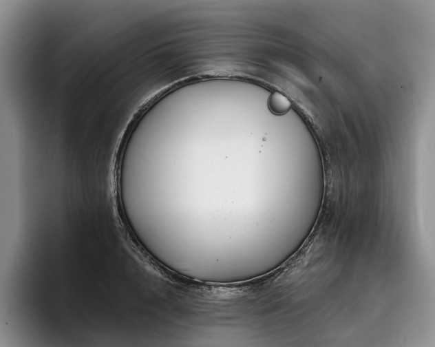 X0000096130848200801181111