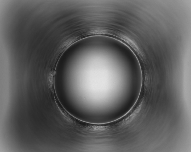 X0000096130849200801181111