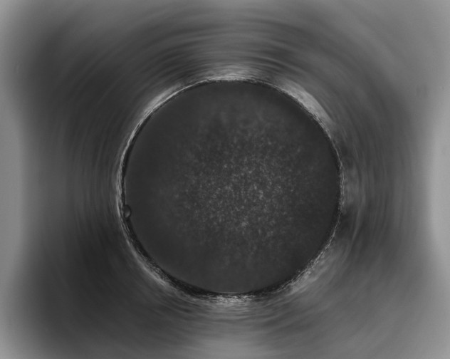 X0000096130850200801181111