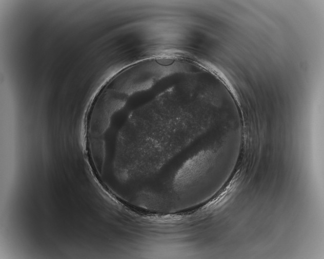 X0000096130851200801181111