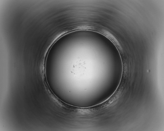 X0000096130852200801181111