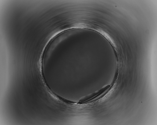 X0000096130854200801181111