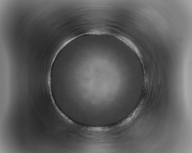 X0000096130855200801181111