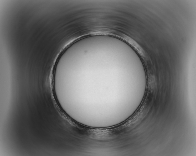 X0000096130856200801181111