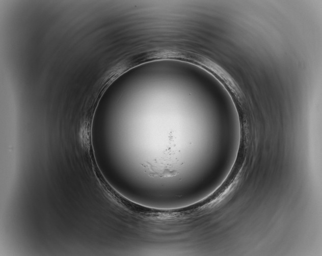 X0000096130857200801181111